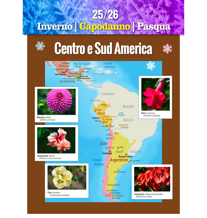 Catalogo Europa 2020
