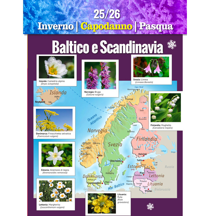 Catalogo Europa 2020