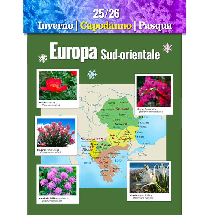 Catalogo Europa 2020