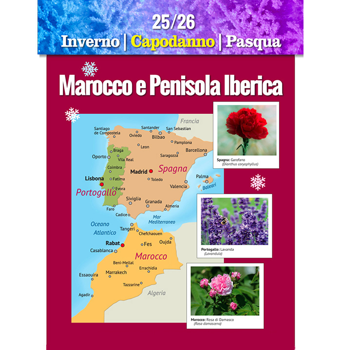 Catalogo Europa 2020