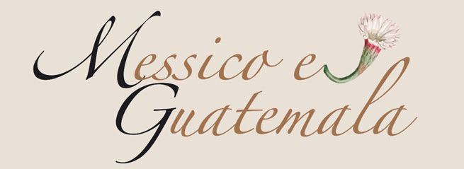 Messico e Guatemala