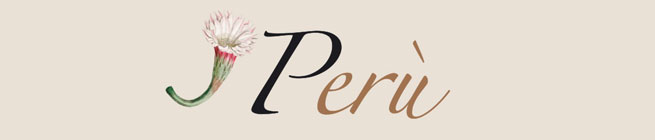Perù